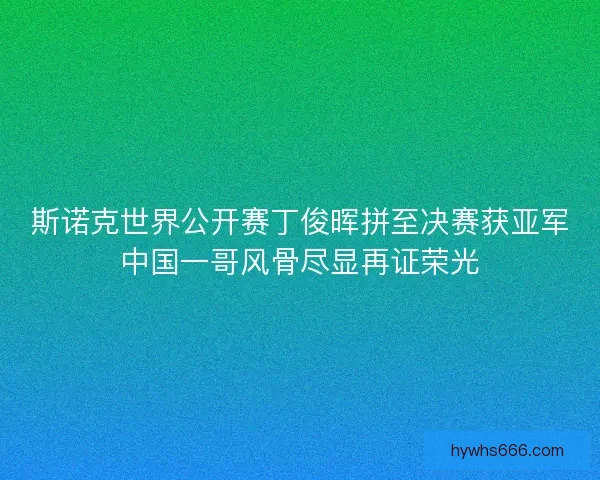 斯诺克世界公开赛丁俊晖拼至决赛获亚军中国一哥风骨尽显再证荣光
