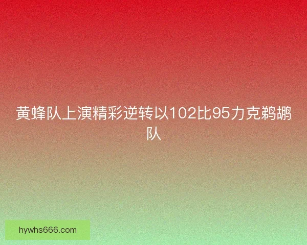 黄蜂队上演精彩逆转以102比95力克鹈鹕队